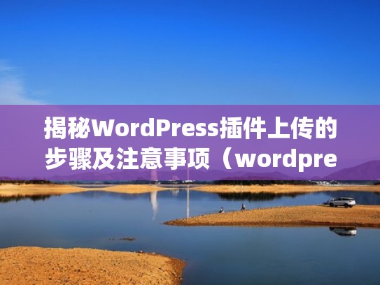 揭秘WordPress插件上传的步骤及注意事项（wordpress文件上传插件）