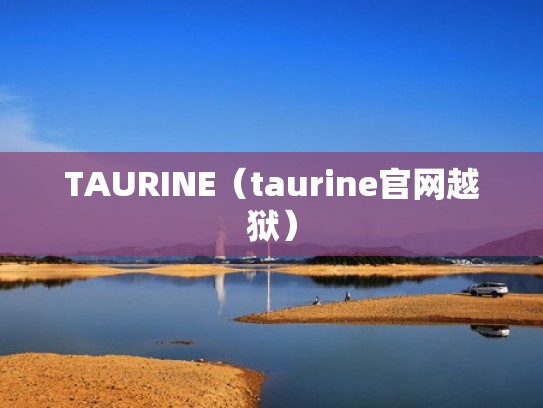 TAURINE（taurine官网越狱）