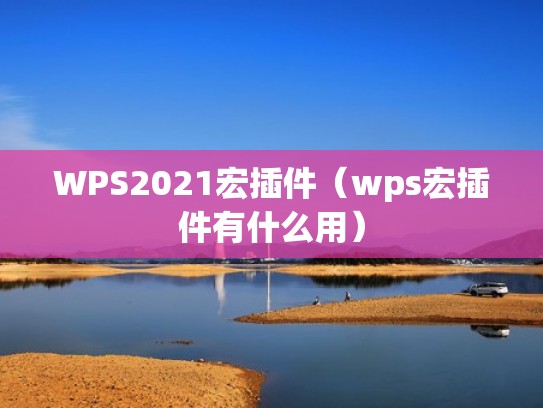 WPS2021宏插件(wps宏插件有什么用) WPS2021宏插件(wps宏插件有什么用)