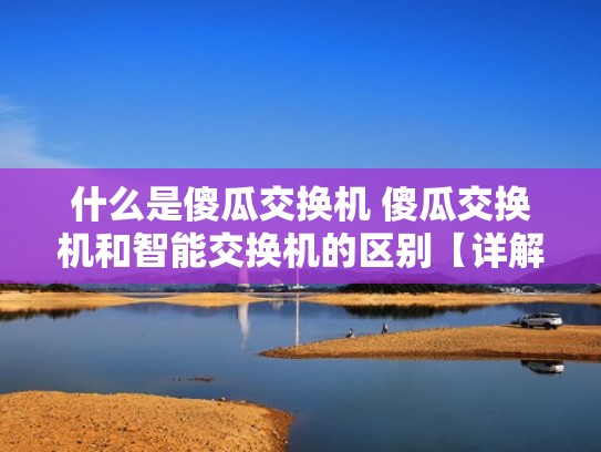 什么是傻瓜交换机 傻瓜交换机和智能交换机的区别【详解】（傻瓜型交换机）