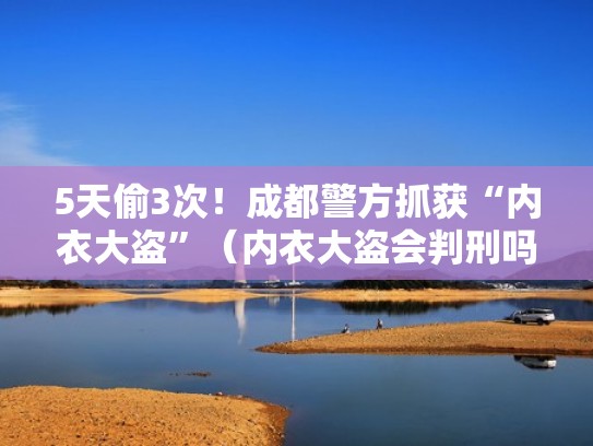 5天偷3次!成都警方抓获“内衣大盗”(内衣大盗会判刑吗) 5天偷3次!成都警方抓获“内衣大盗”(内衣大盗会判刑吗)