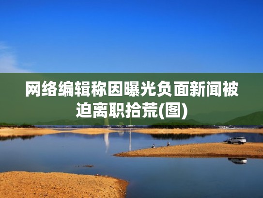 网络编辑称因曝光负面新闻被迫离职拾荒(图)