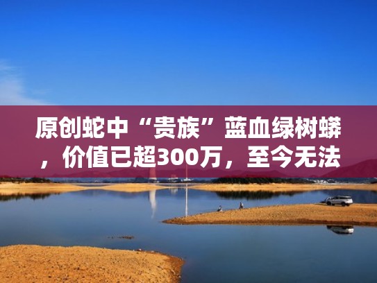 原创蛇中“贵族”蓝血绿树蟒,价值已超300万,至今无法人工培育(蓝色绿树蟒价格) 原创蛇中“贵族”蓝血绿树蟒,价值已超300万,至今无法人工培育(蓝色绿树蟒价格)