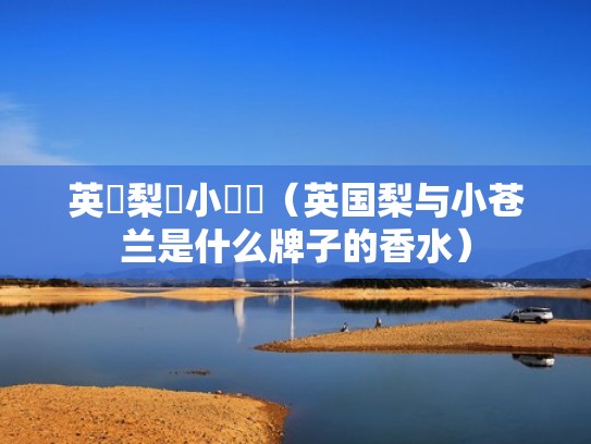 英國梨與小蒼蘭（英国梨与小苍兰是什么牌子的香水）