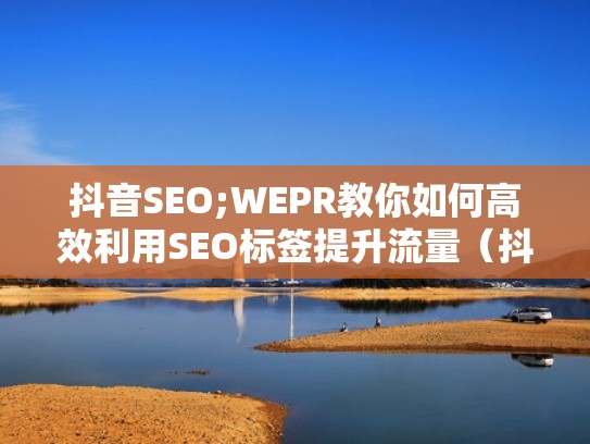 抖音SEO;WEPR教你如何高效利用SEO标签提升流量（抖音seo怎么做）