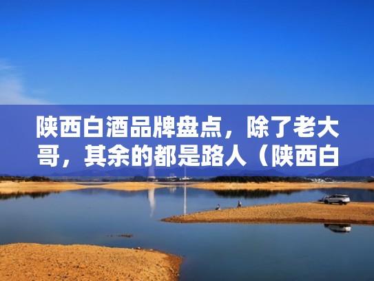 陕西白酒品牌盘点,除了老大哥,其余的都是路人(陕西白酒十大名酒排名) 陕西白酒品牌盘点,除了老大哥,其余的都是路人(陕西白酒十大名酒排名)