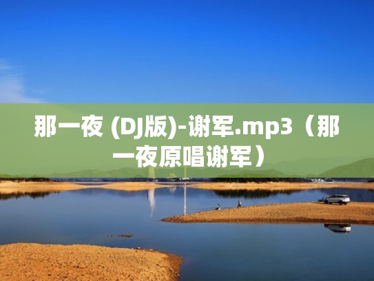 那一夜 (DJ版)-谢军.mp3（那一夜原唱谢军）