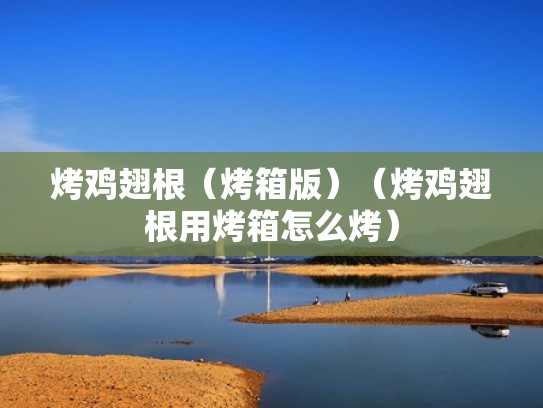 烤鸡翅根（烤箱版）（烤鸡翅根用烤箱怎么烤）