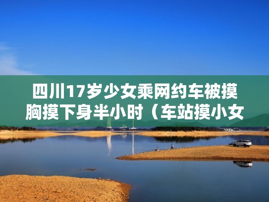 四川17岁少女乘网约车被摸胸摸下身半小时（车站摸小女孩）