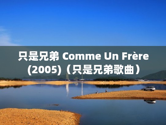 只是兄弟 Comme Un Frère(2005)（只是兄弟歌曲）