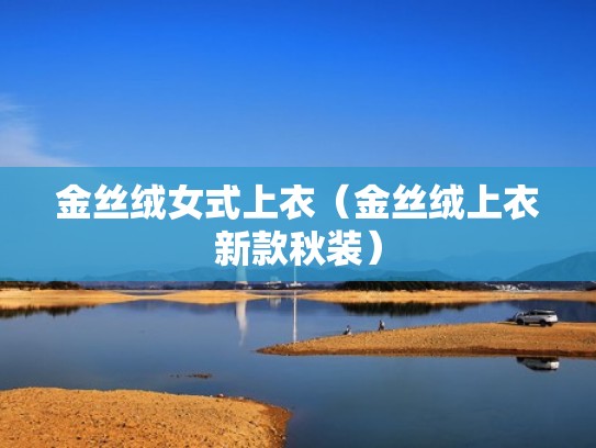 金丝绒女式上衣(金丝绒上衣新款秋装) 金丝绒女式上衣(金丝绒上衣新款秋装)