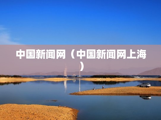 中国新闻网（中国新闻网上海）