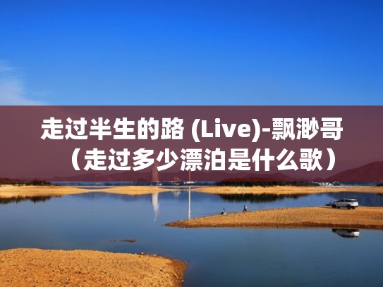 走过半生的路 (Live)-飘渺哥（走过多少漂泊是什么歌）