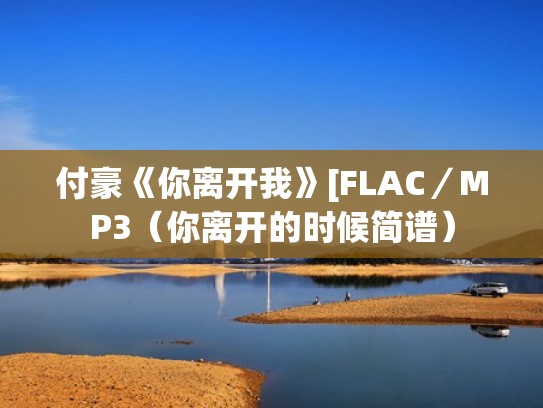 付豪《你离开我》[FLAC／MP3（你离开的时候简谱）