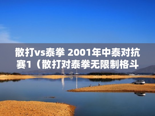 散打vs泰拳 2001年中泰对抗赛1（散打对泰拳无限制格斗）