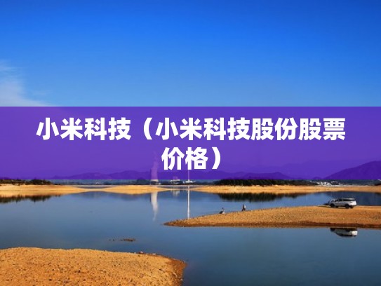 小米科技（小米科技股份股票价格）