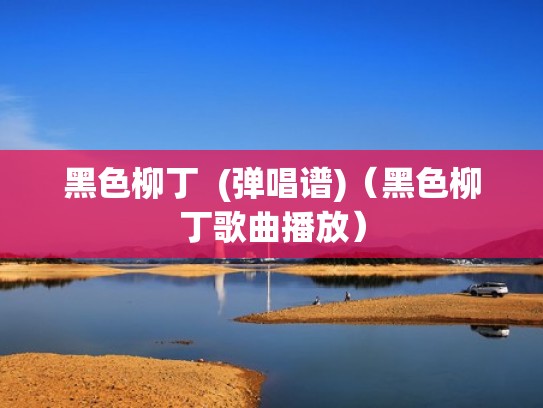 黑色柳丁  (弹唱谱)（黑色柳丁歌曲播放）
